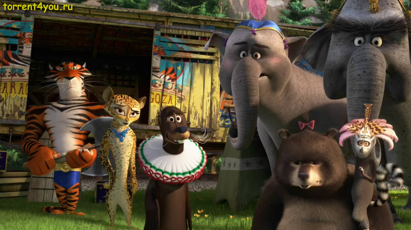 Madagascar 3 - Madagascar 3 смотреть онлайн бесплатно в хорошем качестве новинки 2012